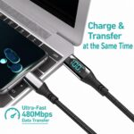 100W USB-C Cable with LED Display